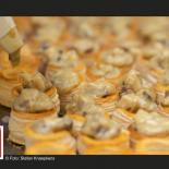 receptie_mini_vol_au_vent_1.jpg